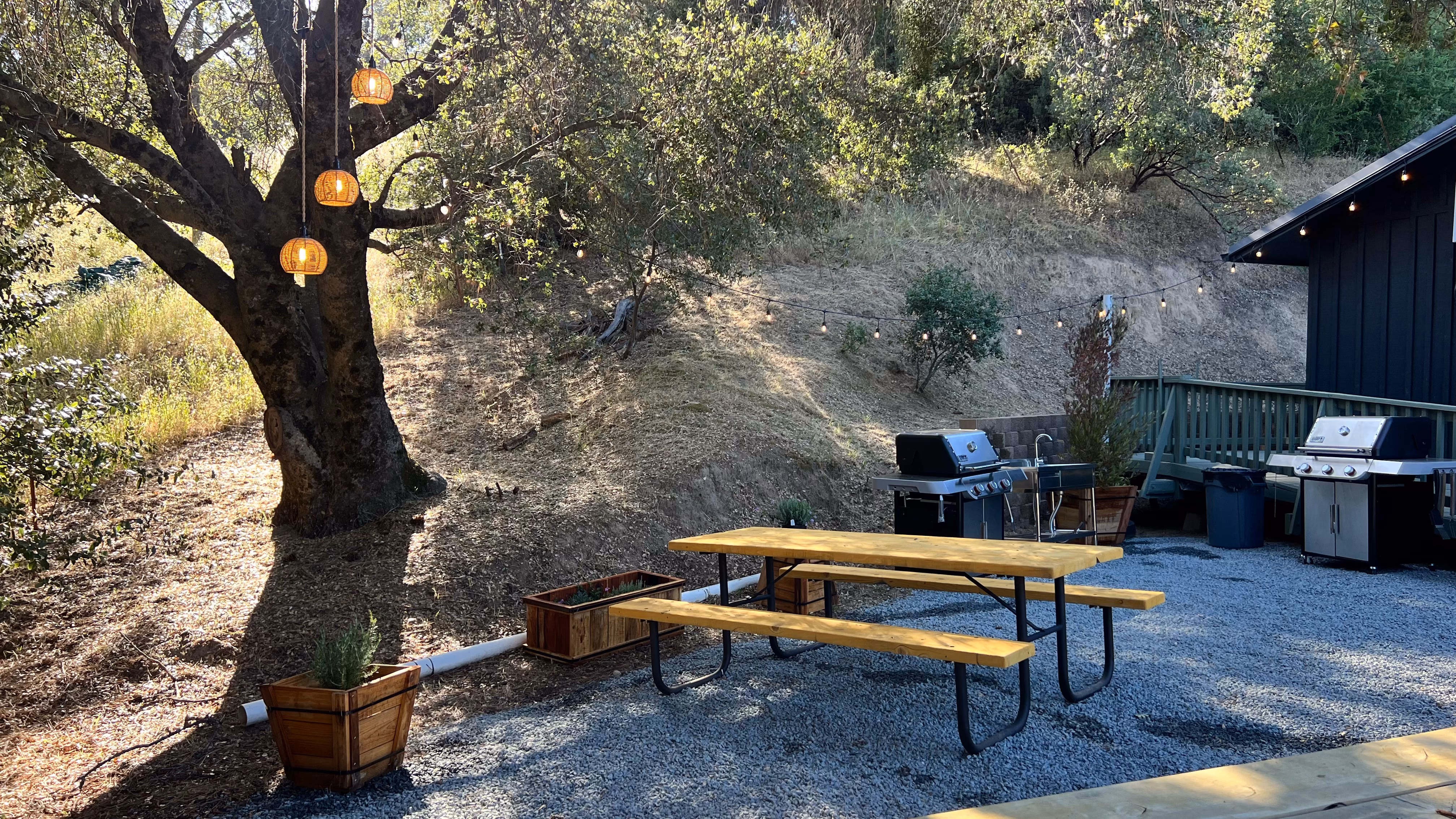Picnic area with gas grills, long tables, and an oak shading the gravel terrace
