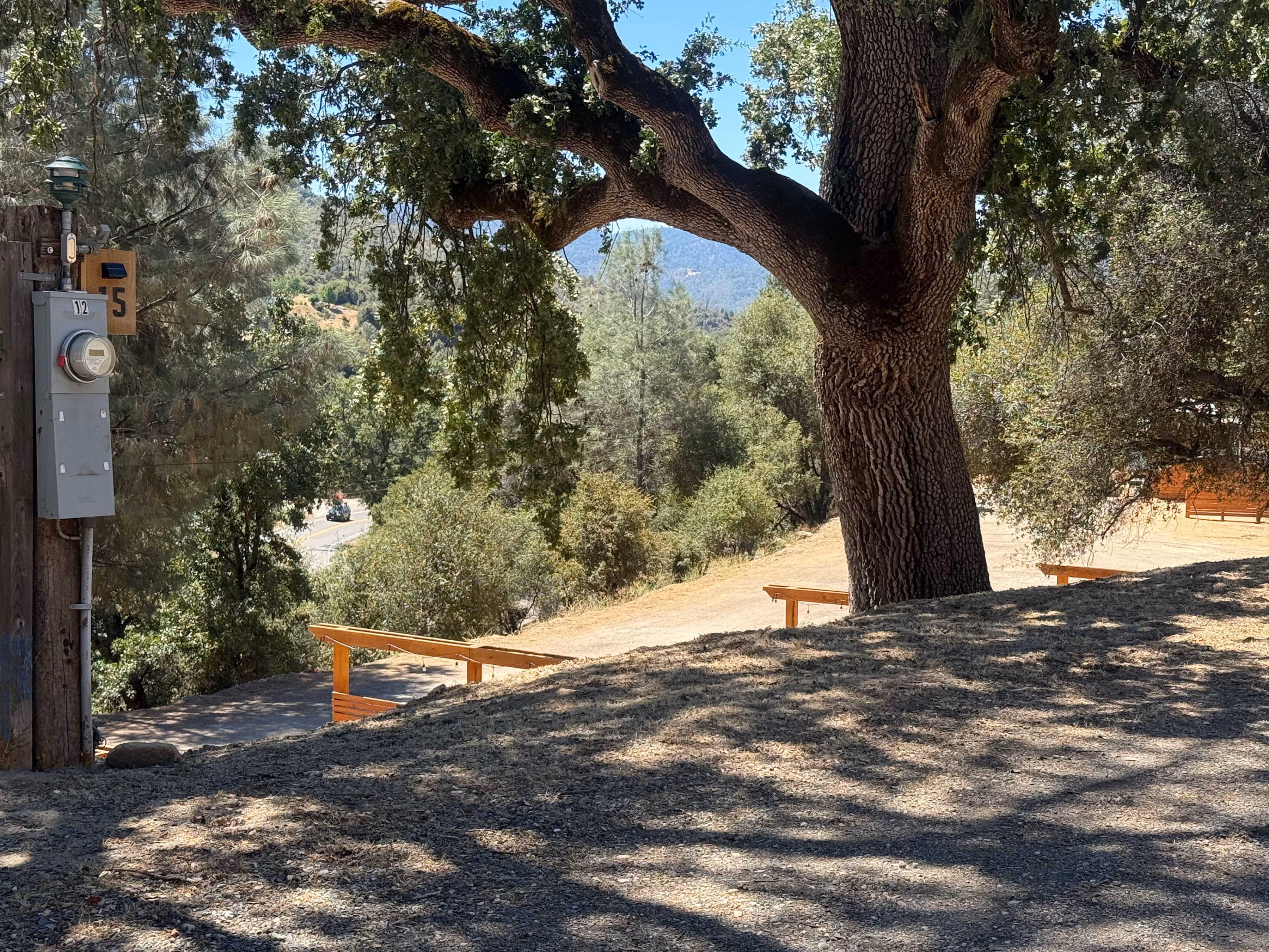 Back Lot Seclusion